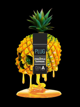pineapple express plug n play